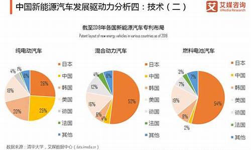 新能源汽车的销售调查_新能源汽车的销售调