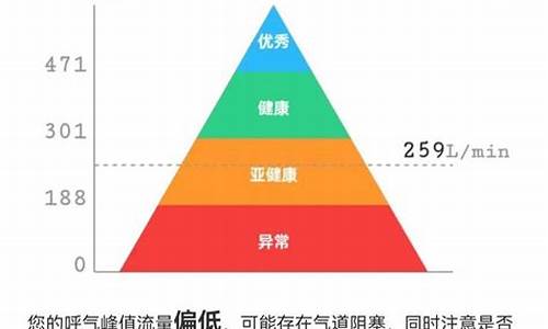 肺功能a1是什么意思_肺功能ATS什么意思