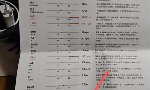 alpha2球蛋白偏低_电泳alpha2球蛋白偏低